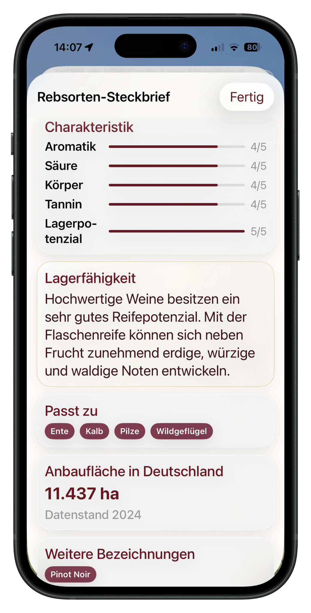Charakteristik und Lagerfähigkeit des Spätburgunders in RebenRadar
