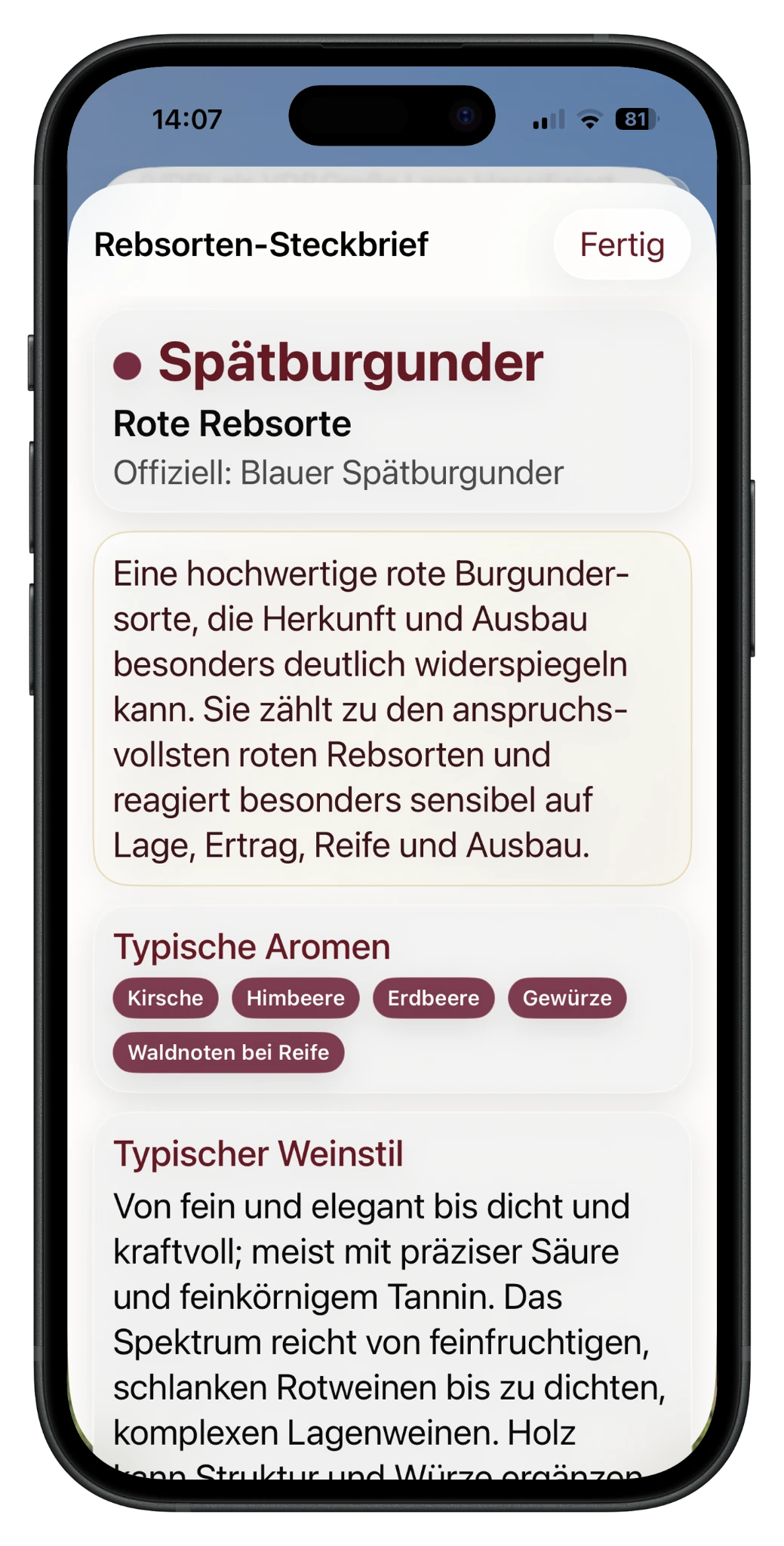 Rebsorten-Steckbrief Spätburgunder in RebenRadar